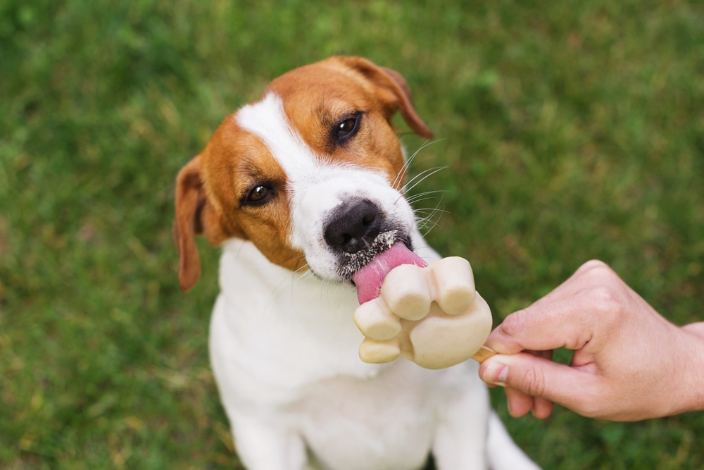 Post 5: Post Title Goes Here Post 5: Post Title Goes Here